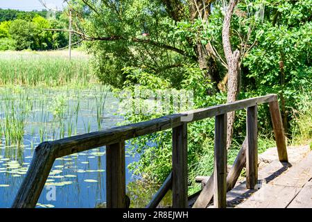 Beautifully standing old wooden bridge over river in colored background close up, photography consisting of old wooden bridge above river in foliage, Stock Photo