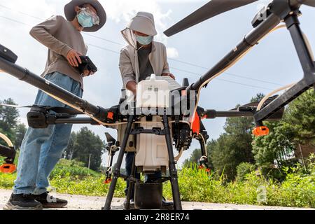 CHONGQING, CHINA - JUNE 20, 2023 - Farmers use a plant protection drone to 'kill insects' for rice in Chongqing, China, June 20, 2023. It is reported Stock Photo