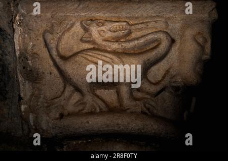 Deadly monster of Roman and Hellenic legend, later depicted in medieval bestiaries.  Basilisk sculpted in marble on Romanesque capital in cloister added in the late 1200s to the abbey church of St Michael, or église abbatiale St-Michel, at Saint-Génis-des Fontaines, Pyrénées-Orientales, Occitanie, France. Stock Photo