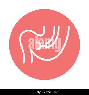 Stomach biopsy color line icon. Isolated vector element. Outline pictogram for web page, mobile app, promo Stock Vector