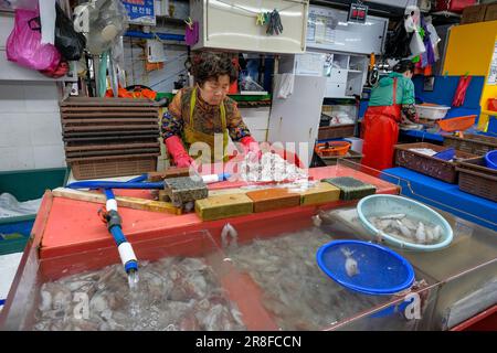 Busan, South Korea - May 28, 2023: A woman selling squids in Jagalchi Market in Busan, South Korea. Stock Photo