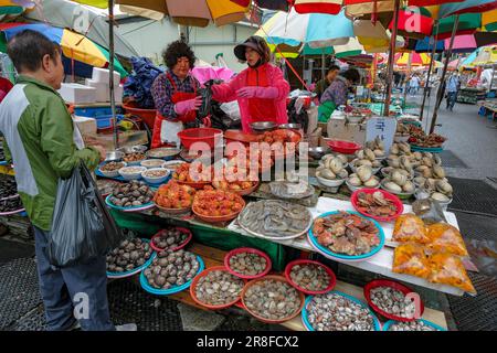 Busan, South Korea - May 28, 2023: A women selling fresh clams, mussels and sea snails in Jagalchi Market in Busan, South Korea. Stock Photo