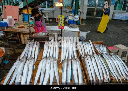 Busan, South Korea - May 28, 2023: A woman selling fish in Jagalchi Market in Busan, South Korea. Stock Photo