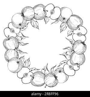 Hand drawn ink apple ripe fruits, full, slices and leaves, monochrome vector, detailed outline. Circle round wreath Isolated on white background Stock Vector