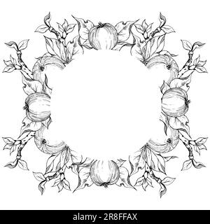 Hand drawn ink apple ripe fruits, full, slices, monochrome vector, detailed outline, leaves, branches. Circle round wreath Isolated on white Stock Vector