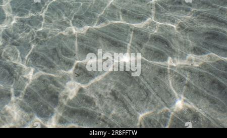 Glare of sun plays on sandy bottom in shallow water. Top view on sandy seabed in shallow water with diagonal lines of sand and sun glare on its Stock Photo