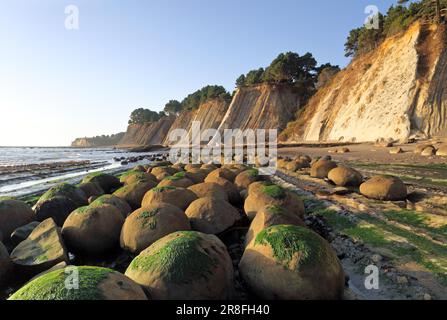 Schooner Gulch, Bowling Ball Beach, Point Arena, Mendocino Suedkueste, CA, USA Stock Photo