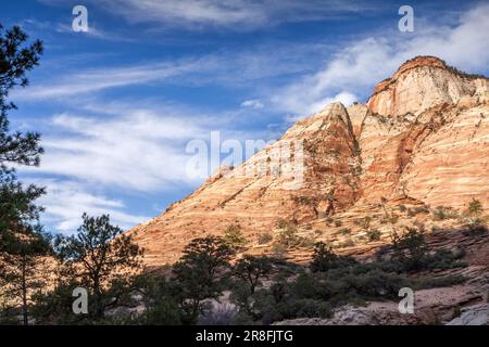 Checkerboard Mesa an unusual Mountain in Zion National Park Stock Photo