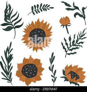 Sunflower vector set isolated on white background. Stock Vector