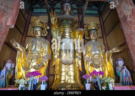 Gimjesi, South Korea - June 6, 2023: Geumsansa Temple is a Buddhist temple located in Moaksan Provincial Park in Gimjesi, South Korea. Stock Photo