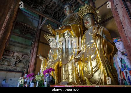 Gimjesi, South Korea - June 6, 2023: Geumsansa Temple is a Buddhist temple located in Moaksan Provincial Park in Gimjesi, South Korea. Stock Photo