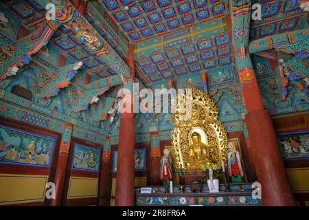 Gimjesi, South Korea - June 6, 2023: Geumsansa Temple is a Buddhist temple located in Moaksan Provincial Park in Gimjesi, South Korea. Stock Photo