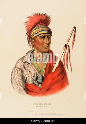 NOT-CHI-MI-NE. AN IOWAY CHIEF., from History of the Indian Tribes of North America ca. 1838 by McKenney and Hall, 1836-1844 Stock Photo