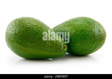 Two Green Ripe Avocado Isolated on White Background Stock Photo