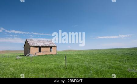 Abandoned wooden house and a barbed wire fence on near Havre, Montana, USA Stock Photo