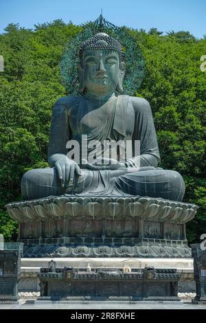 Sokcho, South Korea - June 17, 2023: Buddha statue at Sinheungsa Temple located in Seoraksan National Park, Sokcho, South Korea. Stock Photo