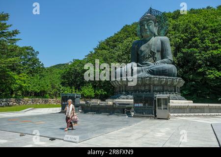 Sokcho, South Korea - June 17, 2023: Buddha statue at Sinheungsa Temple located in Seoraksan National Park, Sokcho, South Korea. Stock Photo