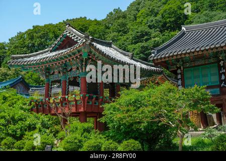 Sokcho, South Korea - June 17, 2023: Seoraksan Sinheungsa Temple is a Buddhist temple located in Sokcho, South Korea. Stock Photo