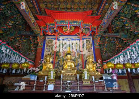 Sokcho, South Korea - June 17, 2023: Seoraksan Sinheungsa Temple is a Buddhist temple located in Sokcho, South Korea. Stock Photo