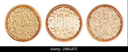Oat grains, rolled oats and oatmeal, in wooden bowls. Husked common oat, Avena sativa, a cereal grain. Dehusked steamed oat groats. Stock Photo