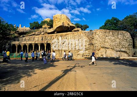 Arjuna's Penance, the Descent of Ganges built in 7th Century by Pallava King in Mahabalipuram Mamallapuram near Chennai, Tamil Nadu, India, Asia. Stock Photo