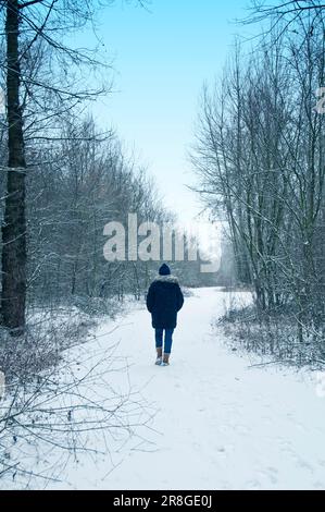 woman with knitted hat and coat, walking along a path covered in snow, winter forest Stock Photo