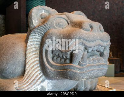 Ocelotl jaguar Aztec figure of Cuauhxicalli with cavity on back for blood, National Museum of Anthropology, Mexico City, Mexico Stock Photo