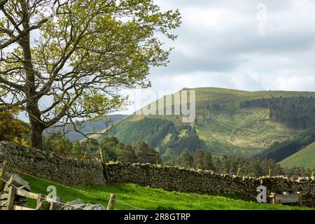 Newby kipps hill near Peebles Scottish Borders, Scotland Stock Photo