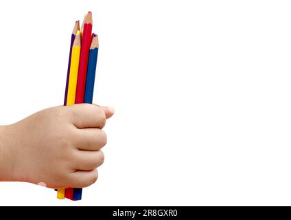 child hand hold pencils color on white background Stock Photo