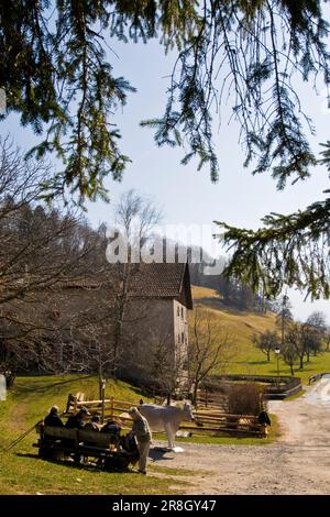 Heidi Village, Maienfeld, Switzerland Stock Photo