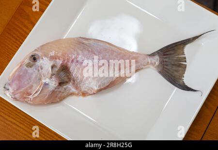 Perremo Fish Clean and seasoned Peroá fish (Balistes capriscus) . Typical fish from ...