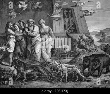 Noah leaves the Ark, First Book Mose,chapterl 8, Vers13, Old Testament, Bible, historic illustration 1890 Stock Photo