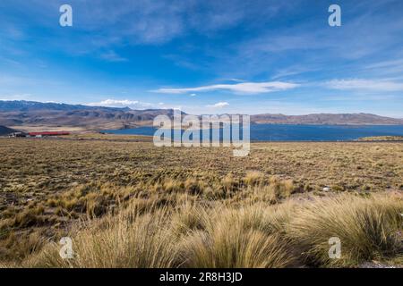 Perù. Andes. surrounding of Puno Stock Photo