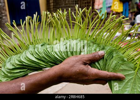 Bandarban. Bangladesh. Asia Stock Photo