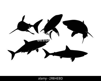 Set of Sharks Silhouette Isolated on a white background - Vector Illustration Stock Vector