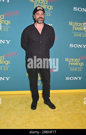 David Harbour attends The US Premiere of 'No Hard Feelings' at AMC Lincoln Square in New York, New York, USA on June 20th, 2023. Robin Platzer/ Twin Images/ Credit: Sipa USA/Alamy Live News Stock Photo