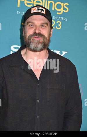 David Harbour attends The US Premiere of 'No Hard Feelings' at AMC Lincoln Square in New York, New York, USA on June 20th, 2023. Robin Platzer/ Twin Images/ Credit: Sipa USA/Alamy Live News Stock Photo