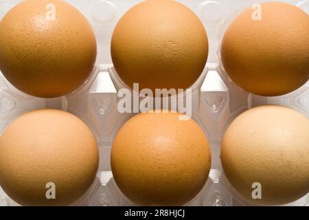 Egg Cartons Stock Photo