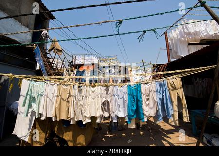 Laundry. Daily Life in the Slum near Colaba. Mumbai. India Stock Photo