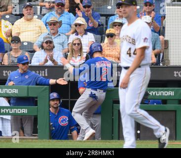 Chicago Cubs' Nico Hoerner, right, high-fives Chicago Cubs' Edwin