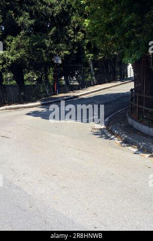 Sloping  street bordered by trees and maritime pines on a sunny day in an italian city Stock Photo