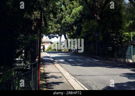 Sloping  street bordered by trees and maritime pines on a sunny day in an italian city Stock Photo