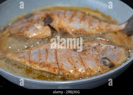 Perremo Fish Clean and seasoned Peroá fish (Balistes capriscus) . Typical fish from ...