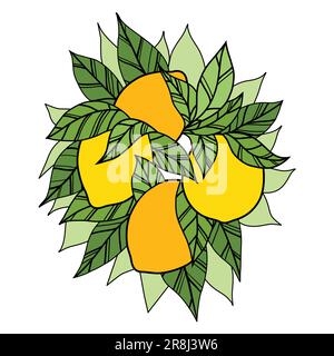 Vector illustration of bunch of lemons with foliage. Hand drawn flat ...
