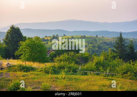 rural mountain scenery in summer. stunning sunset view over the valley with trees and meadows on the rolling hills Stock Photo