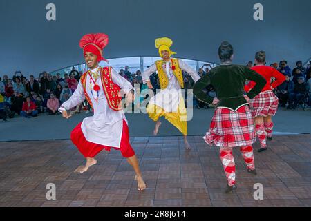 Dance Fusion collaboration with Highland and Punjabi Bhangra dancers, Scotfest,Town Centre Park, Coquitlam, British Columbia, Canada, Stock Photo