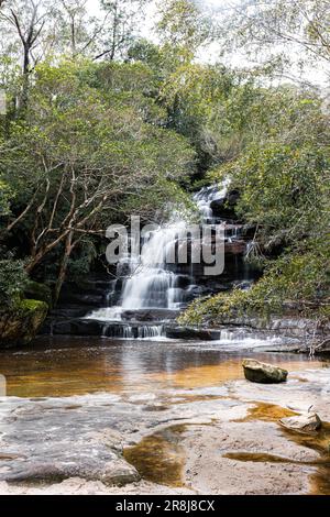 A picturesque landscape featuring a cascading natural waterfall flowing down a lush, green hillside, dotted with tall trees on either side Stock Photo