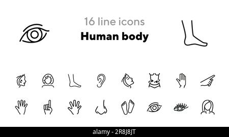 Human body line icon set Stock Vector