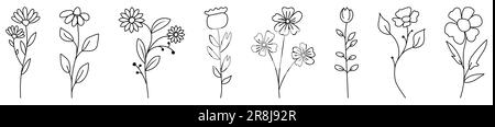 Set of hand drawn wild flower icons. Collection of hand drawn line botanical elements. Vector illustration Stock Vector