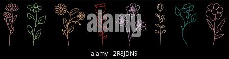 Set of colors wild flower icons. Collection of hand drawn line botanical elements. Vector illustration isolated on black baground Stock Vector